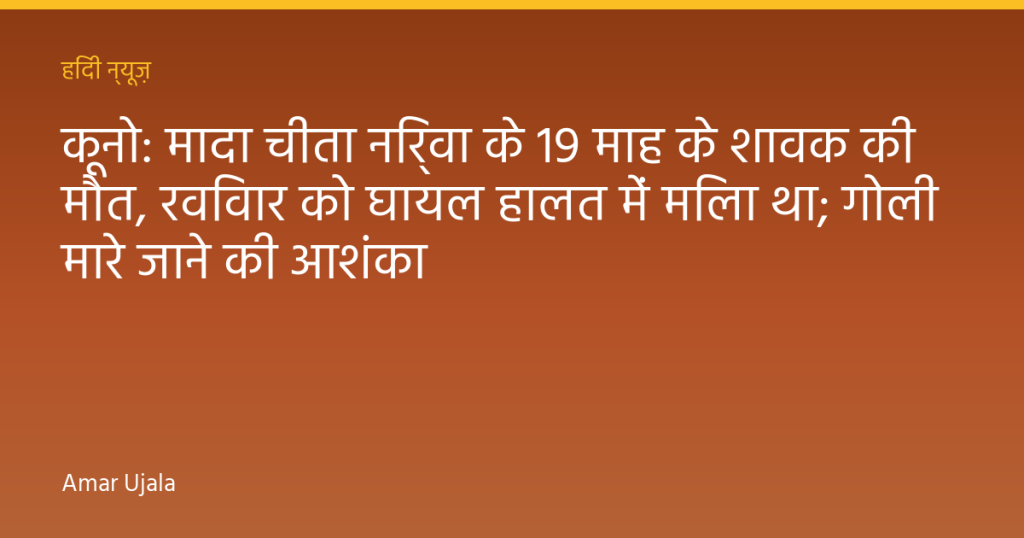 कूनो: मादा चीता निर्वा के 19 माह के शावक की मौत, रविवार को घायल हालत में मिला था; गोली मारे जाने की आशंका
