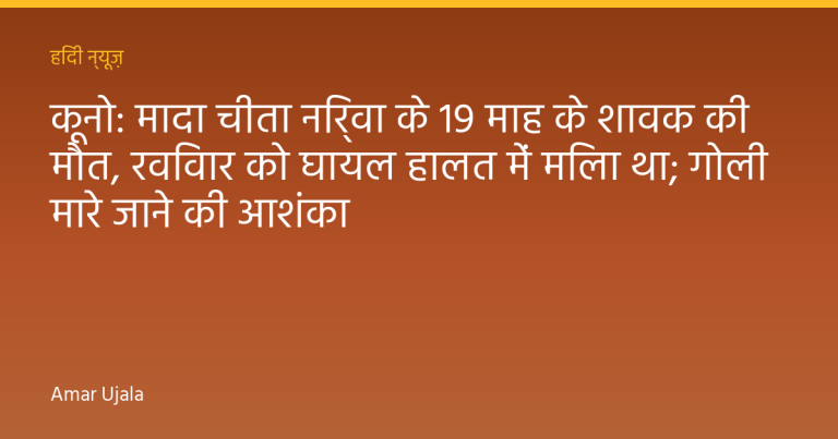 कूनो: मादा चीता निर्वा के 19 माह के शावक की मौत, रविवार को घायल हालत में मिला था; गोली मारे जाने की आशंका